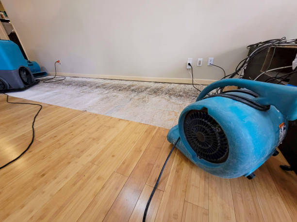 Professional Water Removal technician working in Cape Elizabeth, ME